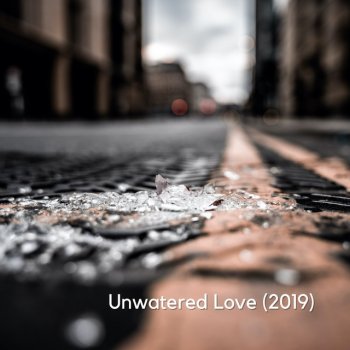 Picture This Unwatered Love (2019)