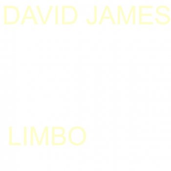 David James It's All I Can Do