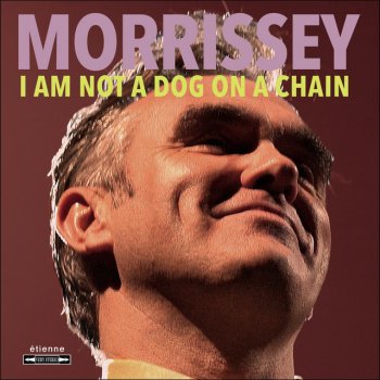 Morrissey Darling, I Hug a Pillow
