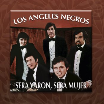 Los Angeles Negros No Me Importa Si Te Ví