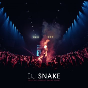 Dj Snake Back Section (Mixed)