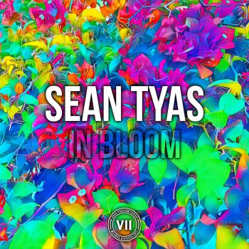 Sean Tyas In Bloom