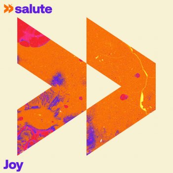 Salute Joy - Dub
