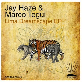 Jay Haze feat. Marco Tegui Radical Transition