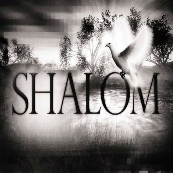 Shay Shalom
