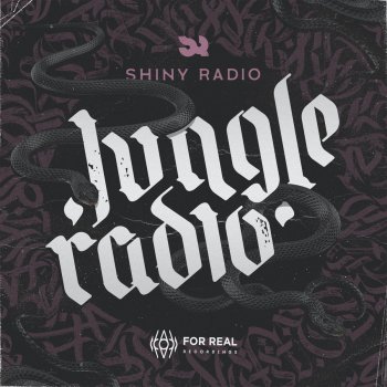Shiny Radio Stealth Dub