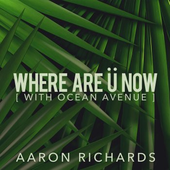 Aaron Richards feat. Ocean Avenue Where Are Ü Now (feat. Ocean Avenue)