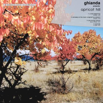 Ghianda Apricots - Original Mix