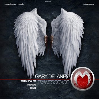 Gary Delaney Evanescence (Timewave Remix)