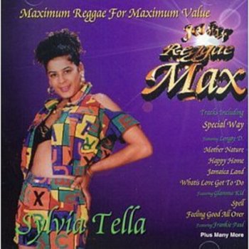Sylvia Tella What's Love Got to Do With It (Remix)