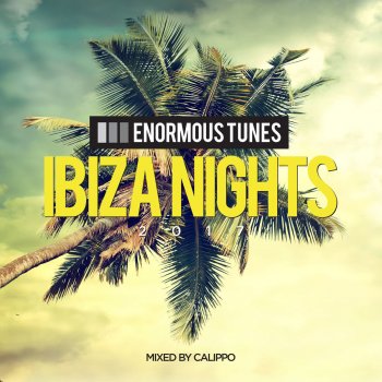 Calippo Ibiza Nights - Beach Mix (Continuous DJ-Mix by Calippo)