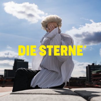 Die Sterne feat. The Düsseldorf Düsterboys Du musst gar nix