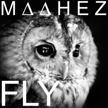 Maahez Fly