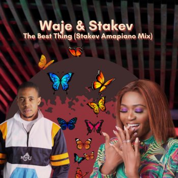 Waje The Best Thing (feat. Stakev) [Stakev Amapiano Mix]