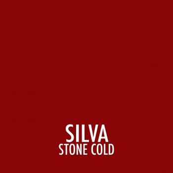 Silva Stone Cold