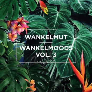 Wankelmut Wankelmoods, Vol. 3 (Continuous Mix)