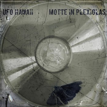 UFO Hawaii Die Motte