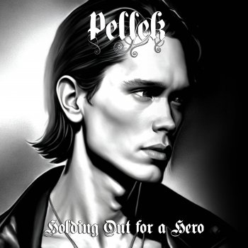 PelleK Holding out for a Hero