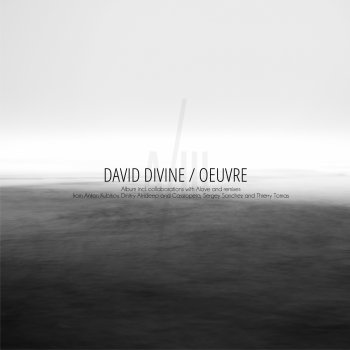David Divine Somewhere Forever Gone...