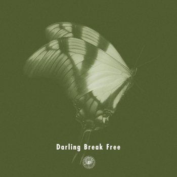 AmPm Darling Break Free (Instrumental)