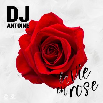 DJ Antoine LA VIE EN ROSE - DJ ANTOINE VS MAD MARK 2K17 MIX