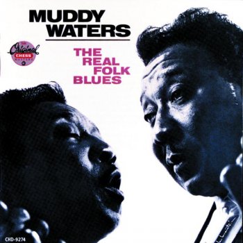 Muddy Waters 40 Days and Forty Nights