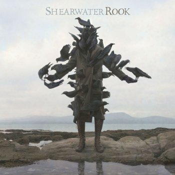 Shearwater Rooks