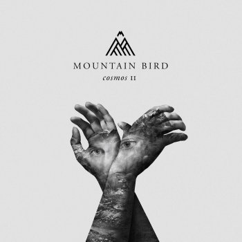 Mountain Bird Cosmos