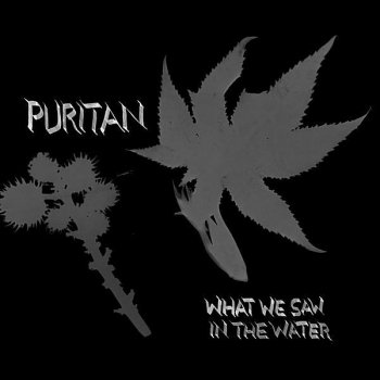 Puritan What We Saw in the Water