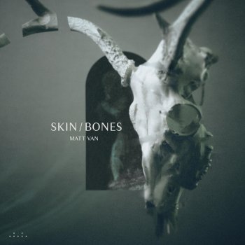 Matt Van skin/bones