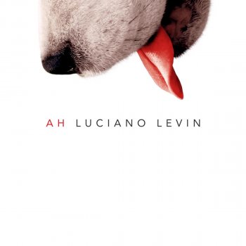 Luciano Levin Agua Corriendo