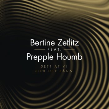 Bertine Zetlitz feat. Prepple Houmb Sett At vi Sier Det Sånn
