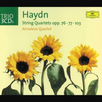 Franz Joseph Haydn feat. Amadeus Quartet String Quartet in D minor HIII No.83, Op.103: 2. Menuet ma non troppo presto - Trio