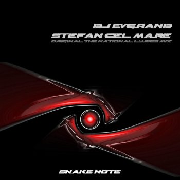 DJ Evgrand Stefan Cel Mare ((Original The National Lyrics Mix))