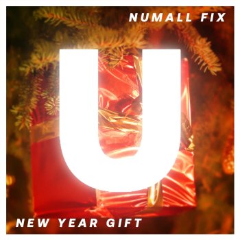 Numall Fix New Year Gift
