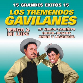 Los Tremendos Gavilanes La Cantinera