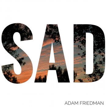 Adam Friedman Sad
