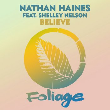 Nathan Haines feat. Shelley Nelson Believe - Album Mix