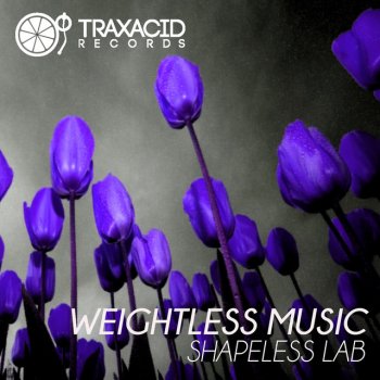 Shapeless Lab Weightlessness - Original Mix