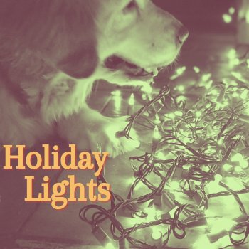 Melissa Harding Holiday Lights