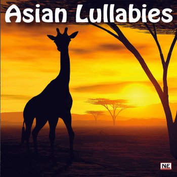 Rob Silverman Asian Lullabies
