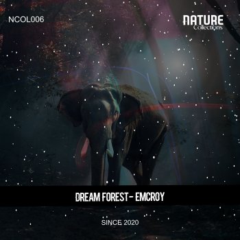 Emcroy Night Forest