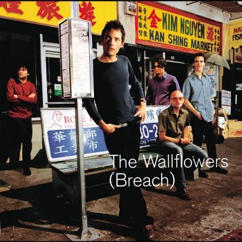 The Wallflowers Invisible City (live)