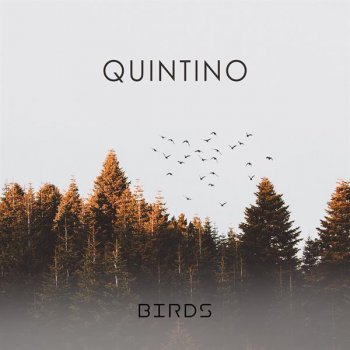 Quintino Birds