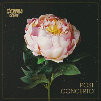 Coma_Cose Post concerto