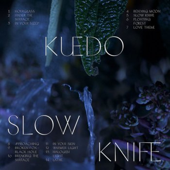 Kuedo Under the Surface