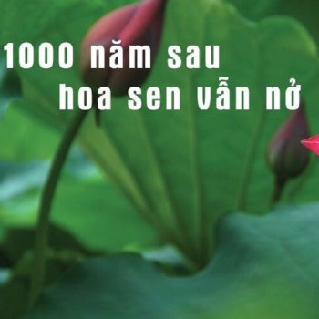 Ngo Thanh Van Sài Gòn Đẹp Lắm