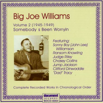 Big Joe Williams Baby Please Don't Go (Mx. 4833)
