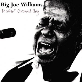 Big Joe Williams Worried Man Blues