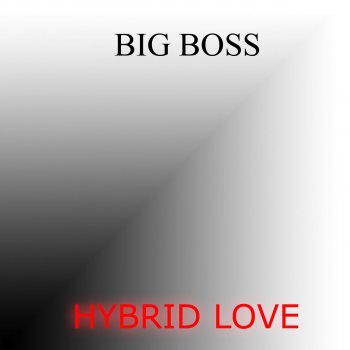 Big Boss Hybrid Love - Trance Edit